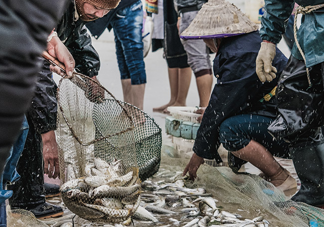 微生物菌剂在水产养殖上的作用 养殖必读